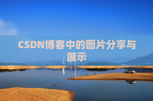 CSDN博客中的图片分享与展示